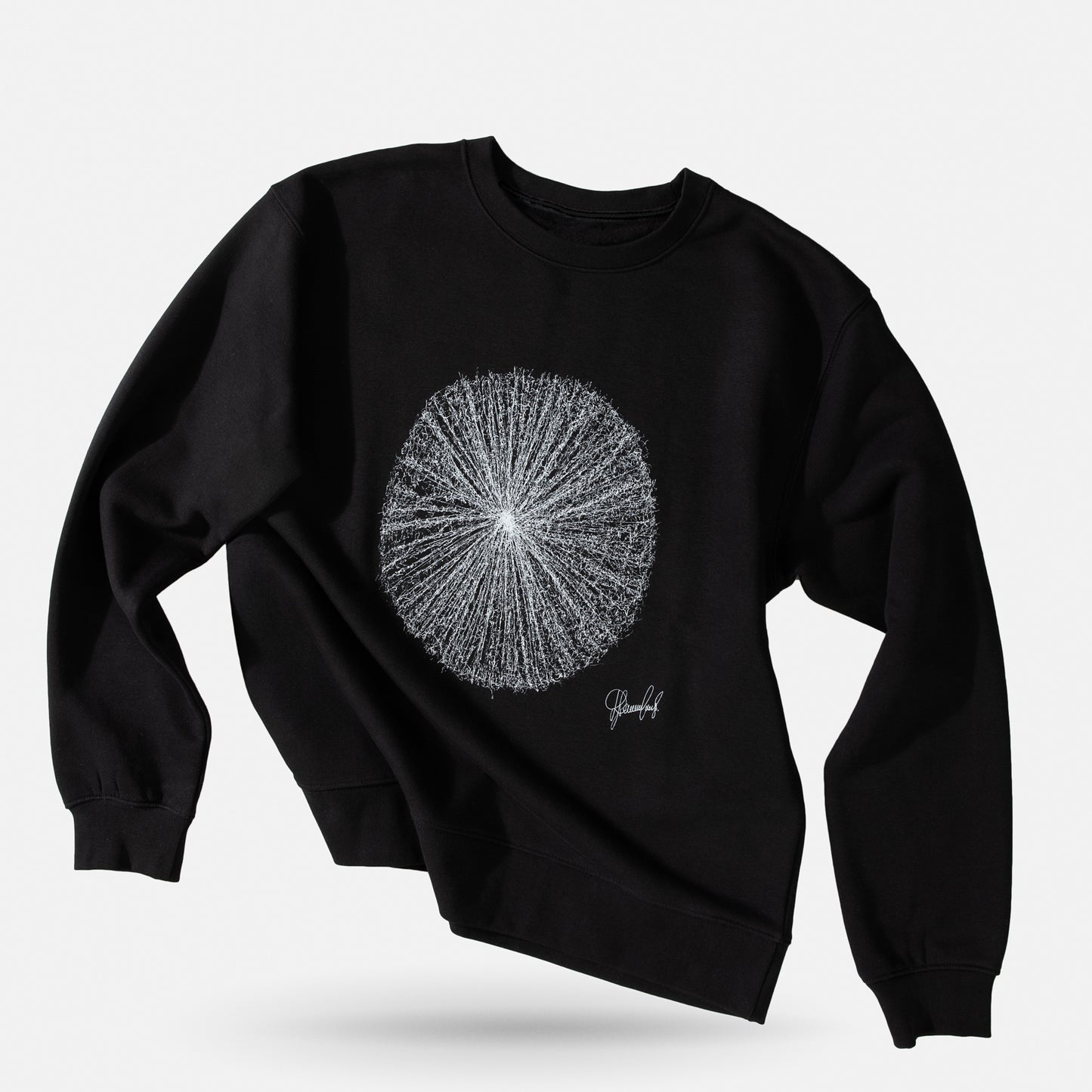 Artwork crewneck sweatshirt / Expansion